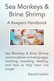 Sea Monkeys & Brine Shrimp: Sea Monkeys & Brine Shrimp owners advice including eggs, hatching, breed by David Franklin