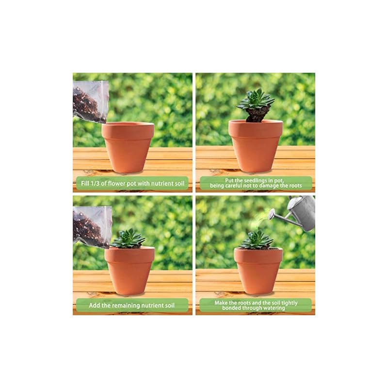 Diy Potting Mix For Aloe Vera What is the best potting soil for aloe