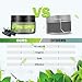 Charcoal Teeth Whitening Powder, LuckyFine Natural Coconut Activated Charcoal Bamboo Toothpaste, Tooth Whitening Powder