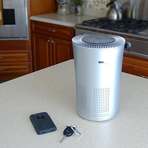 OdorStop HEPA Air Purifier with H13 HEPA Filter, UV Light, Active Carbon, Multi-Speed, Sleep Mode and Timer (OSAP5, Silver Gray) - Thumbnail 5