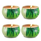 Citronella Mosquito Repellent Candles Set 4 Soy Wax Travel Tin, Natural Mosquito Repels, Outdoor and Indoor for Mothers Day Gift