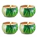 Citronella Mosquito Repellent Candles Set 4 Soy Wax Travel Tin, Natural Mosquito Repels, Outdoor and Indoor for Mothers Day Gift