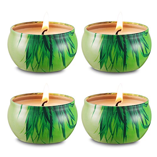 Citronella Mosquito Repellent Candles Set 4 Soy Wax Travel Tin, Natural Mosquito Repels, Outdoor and Indoor for Mothers Day Gift