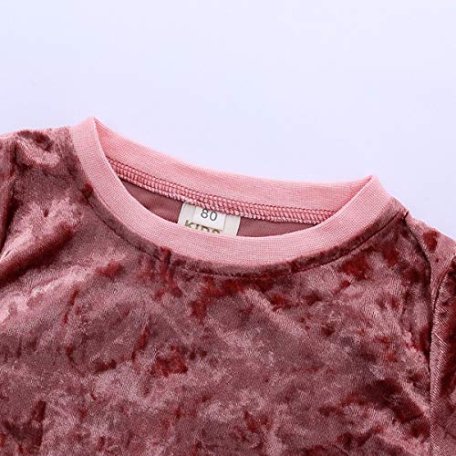 TAOJIAN 2 Pcs Fashion Infant and Toddler Baby Girls Velvet Clothes Outfit Pant Set Casual Outfit (3-4Years, Pink)