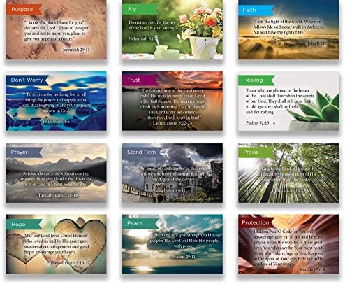 Logos Trading Post Pass Along Scripture Card Variety Pack | 12 Hand Picked Designs | 5 Of Each Design | Pack Of 60 - Assortment 9