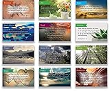 Logos Trading Post Pass Along Scripture Card Variety Pack | 12 Hand Picked Designs | 5 of Each Design | Pack of 60 - Assortment 9