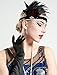 BABEYOND 1920s Flapper Headband Roaring 20s Feather Headpiece Crystal Great Gatsby Headband with Net 1920s Flapper Accessories