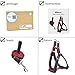 ARIKON Dog Leash Harness, Adjustable and Heavy Duty Durable Denim Dog Leash Collar for Training Walking Running, Best for Large Medium Small Dog