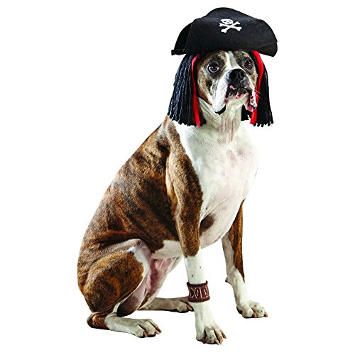 Pirate Dog Halloween Costumes Best Costumes for Halloween