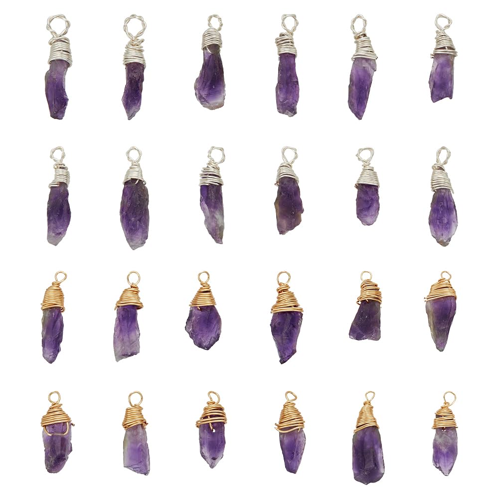 HOBBIESAY 32Pcs 2 Color Natural Amethyst Charm Irregular Purple Crystal Pendants Wire Wrapped Stone Dangle Charms for Jewelry Making Meditation Decoration