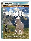 The Adventures of Cloud