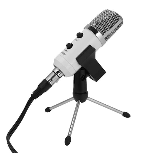 Reverb USB Microphone, Mini Portable Volume Echo Adjustable Microphone