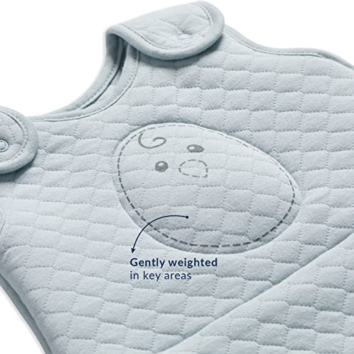 Nested Bean Zen Sack® Quilted-Gently Weighted Sleep Sacks | 0-24M | TOG 1.0 | 100% Cotton | Wearable Blanket for Swaddle Transition