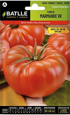 Semillas Hortícolas - Tomate Ace 55 VF - Batlle: Amazon.es: Jardín