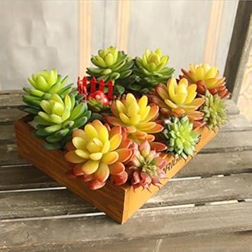 Amazon Co Jp F Fityle 人工多肉植物リアルタッチ石蓮の花紅葉植物黄赤 Diy 工具 ガーデン