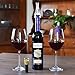 Wine Aerator Set of 2 with Vacuum Pump Stopper-Premium Aerating Spout Great Gift Idea