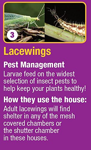 Nature's Way Bird Products CWH7 Insect House