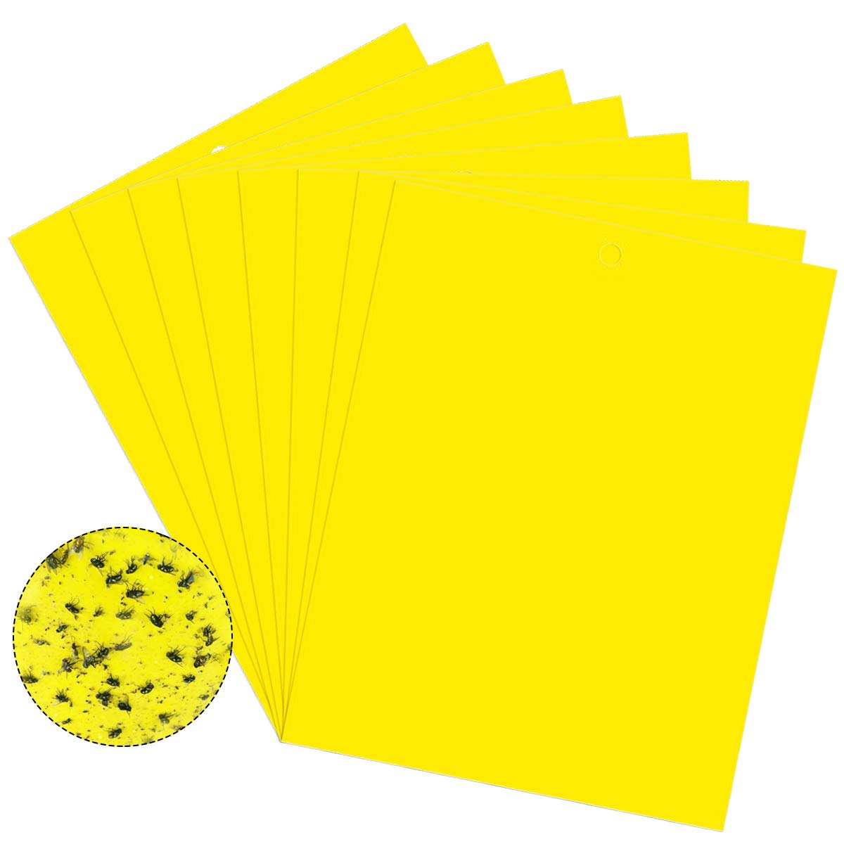 Jinlaili 20PCS Yellow Sticky Fly Traps 20x15cm, Fly Paper Stickers, Dual-Sided Sticky Traps, Plant Fly Catchers, Catcher Sticky Board for Flying Plant Insect Aphids, Leafminers (Included Twist Ties)