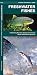 Freshwater Fishes: A Folding Pocket Guide to Familiar North American Species (A Pocket Naturalist Guide)