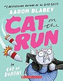 Cat on the Run in Cat of