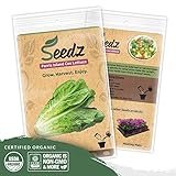 Organic Lettuce Seeds (APPR. 1,100) Parris Island Romaine Lettuce - Heirloom Vegetable Seeds - Certified Organic, Non-GMO, Non Hybrid - USA