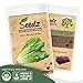 Organic Lettuce Seeds (APPR. 1,100) Parris Island Romaine Lettuce - Heirloom Vegetable Seeds - Certified Organic, Non-GMO, Non Hybrid - USA primary