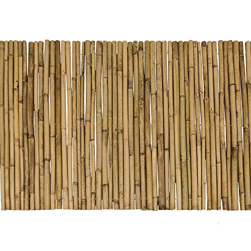 Sol Royal Sichtschutz Bambus Zaun Massiv 90x250cm (HxB) SolVision B38