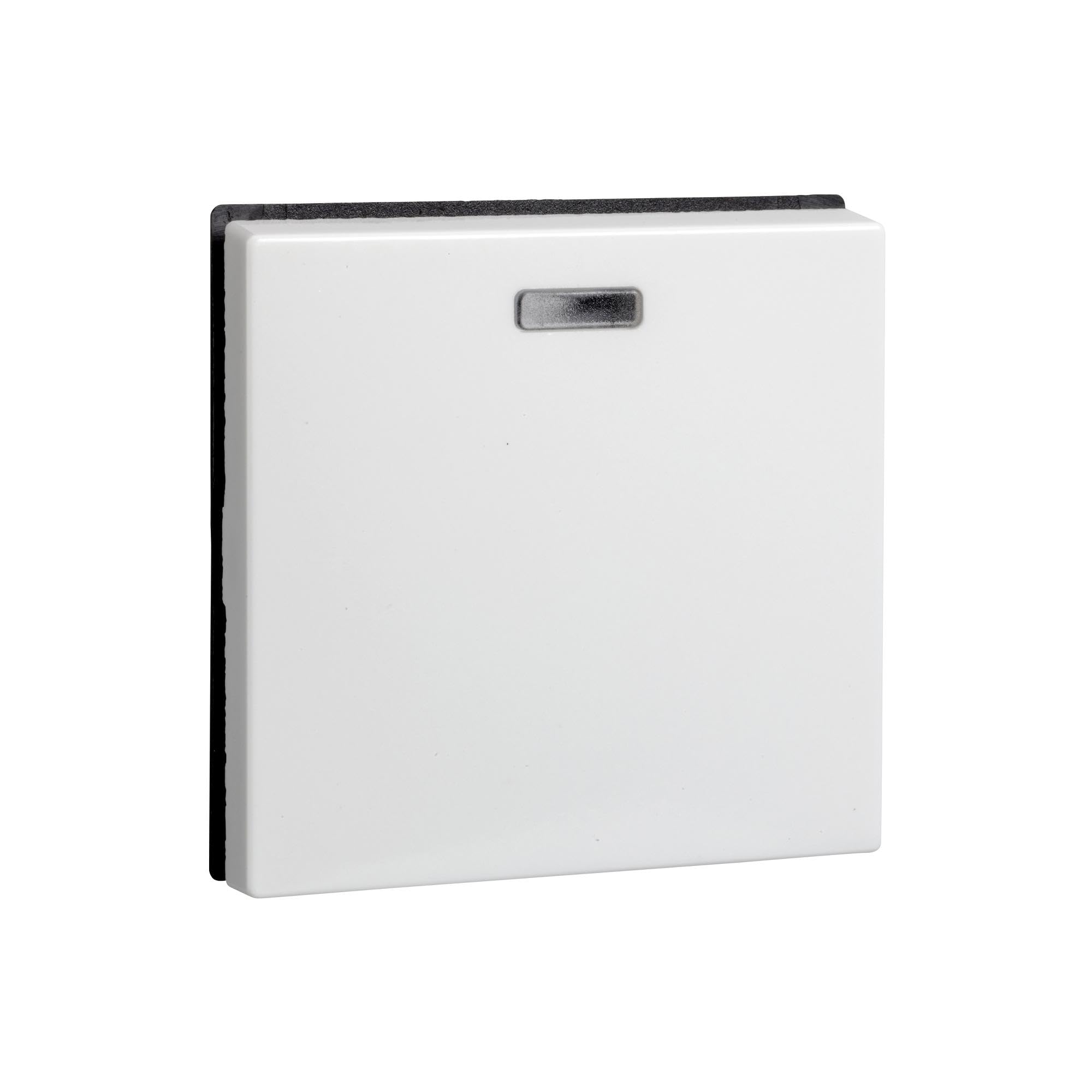 Elso rocker switch, illuminated 273614