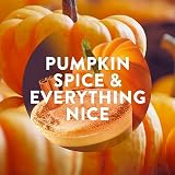 Air Wick Plug in Diffuser Refill Pumpkin & Winter Spice Pack 6 x 19 ml view 2