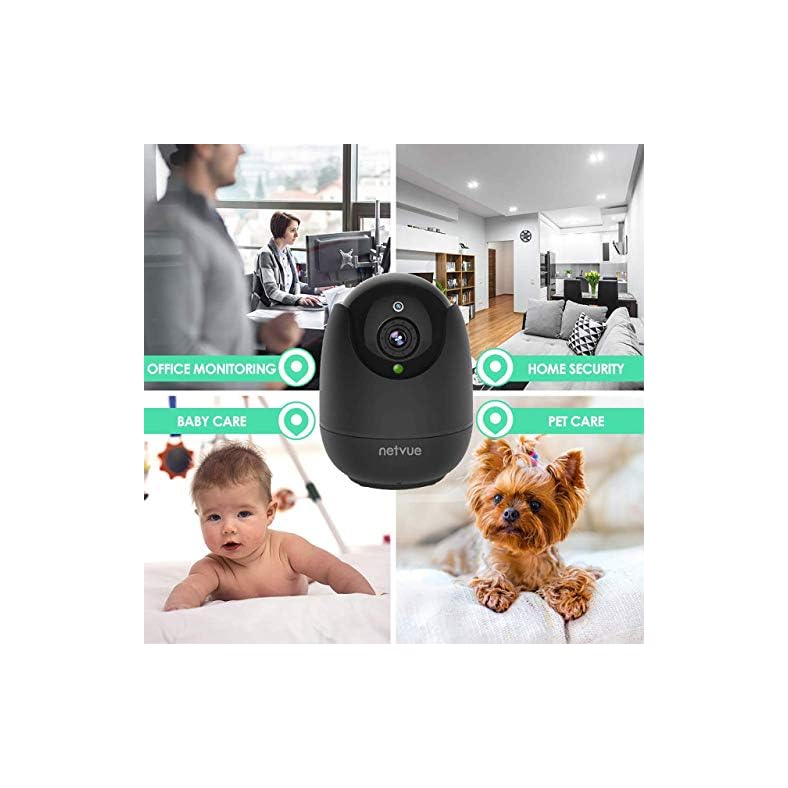 indoor camera for dogs