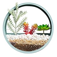 RRSHUN Round Glass Wall Planter, Wall Vase Planter Circle Flower Metal Iron Indoor Vertical Container Wall Hanging Home Dec