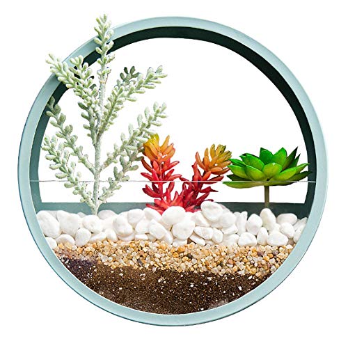 RRSHUN Round Glass Wall Planter, Wall Vase Planter Circle Flower Metal Iron Indoor Vertical Container Wall Hanging Home Dec