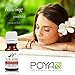 Tea Tree Essential Oil (Australian) 10 ml (0.33 fl. Oz.) - GCMS Tested, 100% Pure, Undiluted and Therapeutic Grade