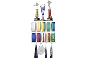 UpRise Designs Karate Belt Display Rack for 10 Belts. Taekwondo Belt Display and Martial Arts Belt Display. Karate Belt Holder, Plaque for Personalization, Trophy & Medal Hooks (White, 10)