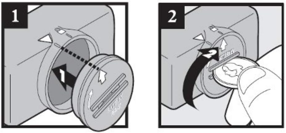 PetSafe RFA-67D-11 6 Volt Battery (Pack of 2) : PetSafe : Barking Deterrent Collars : Pet Supplies
