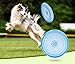 Petper Dog Flying Disc Toy, Dog Frisbees Indestructible 9 inches, Pink