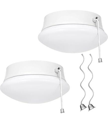 Westinghouse 2-Light Ceiling Fixture, White - 66162 - Flush Mount