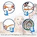 Best Natural Safe Design Flea and Tick Collar For Dogs, 8 Month Protection, Fully Adjustable One Size Fits All - Waterproof