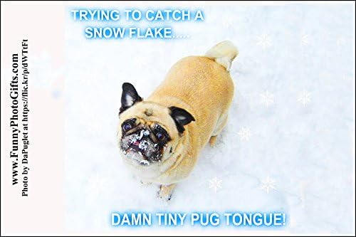 PUG TONGUE--1 small, funny fridge magnet, 2x3 inch (5.08x7.62 cm), meme decorative magnetic sign plaque, pet dog