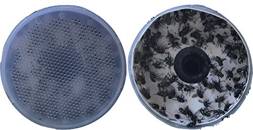 Premium Dog Waste Trash Can with Integrated Fly Trap for Small and Medium Sized Dogs (to 50 lbs.), Stainless Steel, Black, for Poop Bag, Pooper Scooper and Shovel Disposal