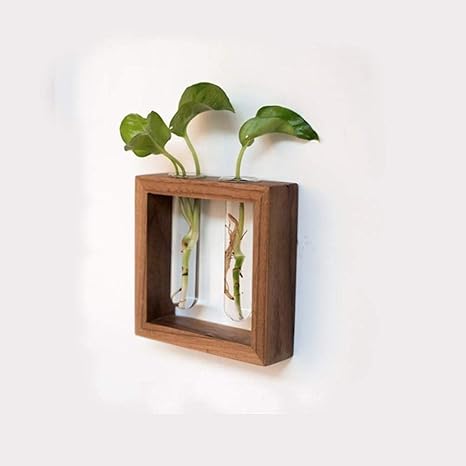 Amazon Co Jp Jahuaj 試験管壁の花瓶植物装飾屋内植物が創造オークの壁のプランター 一輪挿しスタンド壁掛け 色 黄色 サイズ L イエロー 複合 Color Brown Size Small ホーム キッチン Amazon Co Jp Jahuaj 試験管壁の花瓶植物装飾屋内植物が創造オークの壁のプランター 一輪挿しスタンド壁掛け 色 黄色 サイズ L イエロー 複合 Color Brown Size Small ホーム キッチン