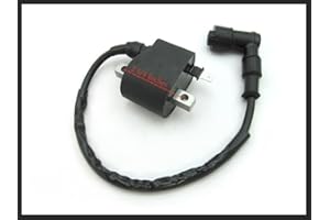 Lumix GC Ignition Coil Module Magneto For 50cc Suzuki LT50 ALT50 Atv Quad