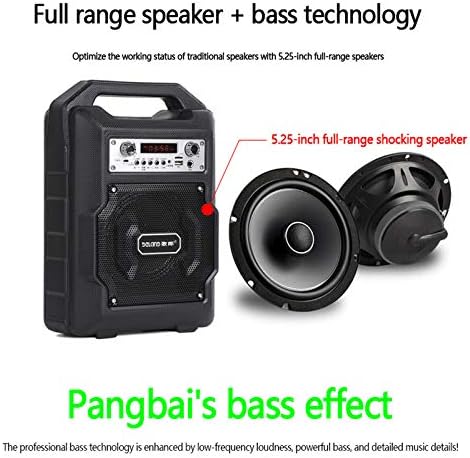 portable karaoke speaker bluetooth