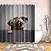 Fangkun Shower Curtain Art Bathroom Decor Animals Cute Pug Dog Design - Polyester Bath Curtains Decor Sets - 12pcs Shower Hooks - 72 x 72 inches