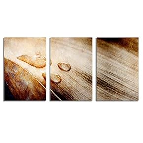 Canvas Wall Art Abstract Vintage Style Painting Artwork for Home Prints Framed - 16"x24" x 3 Panels