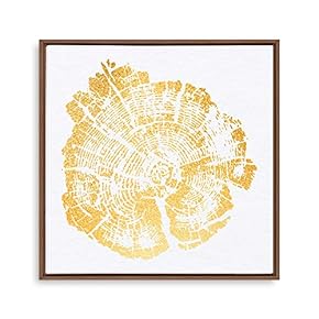 Framed Canvas Home Artwork Decoration Annual Ring Canvas Wall Art for Living Room, Bedroom - 16x16 inches