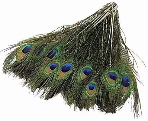 XiZiMi Pack of 100pc Natural Peacock Feathers 10-12''