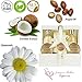 Deluxe Spa Gift Basket, Bath and Body Set for her Birthday Perfect Holiday Gift Set For Woman All-Natural Spa Treat Gift Basket (#1 Choice Holiday Gift Baskets)