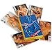 Male Nude Nudie Playing Cards (Limited Edition)