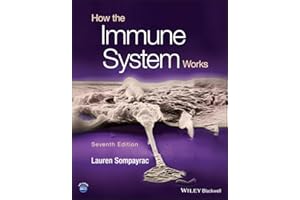 How the Immune System Works